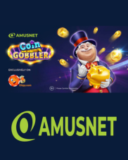 AMUSNET