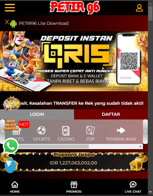Project